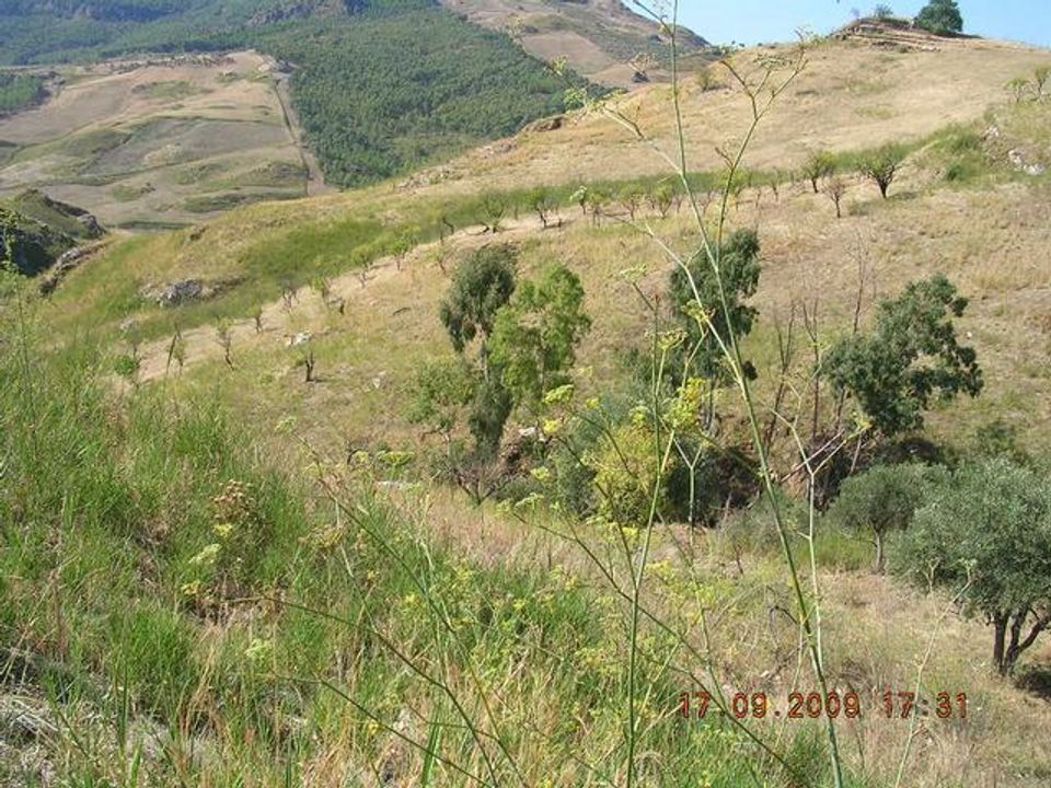 Tomt i Cianciana, Agrigento - bilde 4